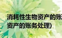 消耗性生物资产的账务处理(出售消耗性生物资产的账务处理)