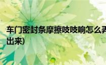 车门密封条摩擦吱吱响怎么弄(车门密封条摩擦吱吱响怎么弄出来)