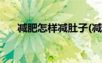 减肥怎样减肚子(减肥怎样减肚子烧肉)