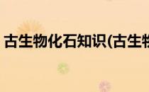古生物化石知识(古生物化石知识在哪个频道)