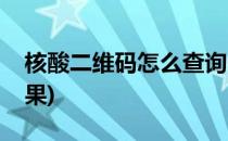 核酸二维码怎么查询(核酸二维码怎么查询结果)