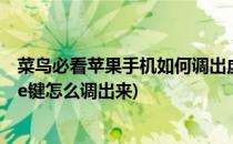 菜鸟必看苹果手机如何调出虚拟home键(iphone虚拟home键怎么调出来)