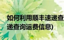 如何利用顺丰速递查询运费(如何利用顺丰速递查询运费信息)