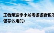 王者荣耀李小龙粤语语音包怎么用(王者荣耀李小龙粤语语音包怎么用的)