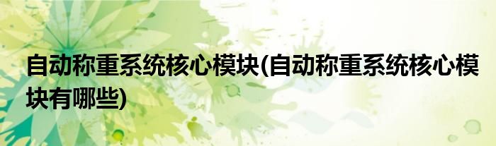 自动称重系统核心模块(自动称重系统核心模块有哪些)