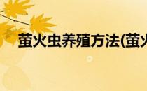 萤火虫养殖方法(萤火虫养殖方法有哪些)