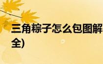 三角粽子怎么包图解(三角粽子怎么包图解大全)