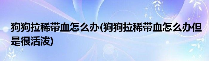 狗狗拉稀带血怎么办(狗狗拉稀带血怎么办但是很活泼)
