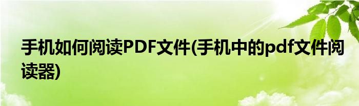 手机如何阅读PDF文件(手机中的pdf文件阅读器)