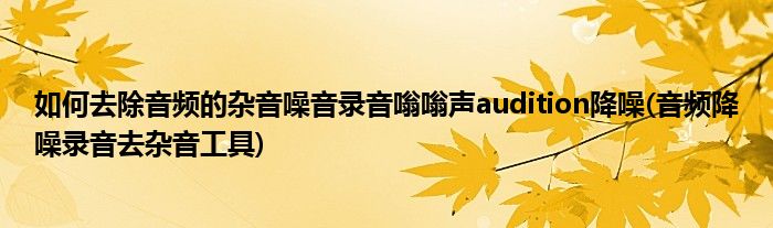 如何去除音频的杂音噪音录音嗡嗡声audition降噪(音频降噪录音去杂音工具)