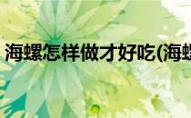 海螺怎样做才好吃(海螺怎样做才好吃又简单)