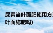 尿素当叶面肥使用方法#校园分享#(尿素可以叶面施肥吗)
