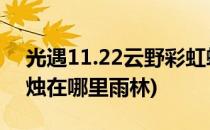 光遇11.22云野彩虹蜡烛在哪里(光遇彩虹蜡烛在哪里雨林)