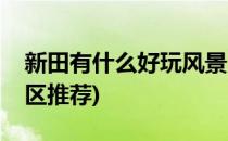 新田有什么好玩风景区(新田有什么好玩风景区推荐)