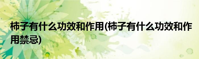 柿子有什么功效和作用(柿子有什么功效和作用禁忌)