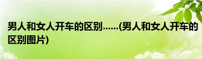 男人和女人开车的区别......(男人和女人开车的区别图片)