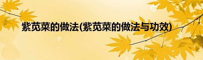 紫苋菜的做法(紫苋菜的做法与功效)