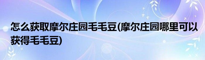 怎么获取摩尔庄园毛毛豆(摩尔庄园哪里可以获得毛毛豆)