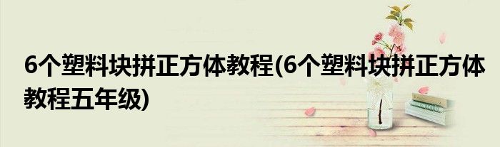 6个塑料块拼正方体教程(6个塑料块拼正方体教程五年级)