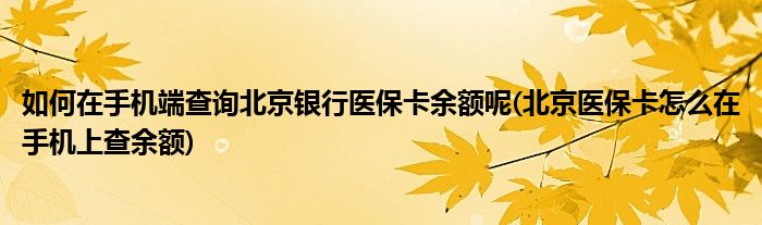 如何在手机端查询北京银行医保卡余额呢(北京医保卡怎么在手机上查余额)