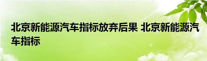 北京新能源汽车指标放弃后果 北京新能源汽车指标