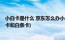 小白卡是什么 京东怎么办小白卡 中信白条联名卡(京东小白卡和白条卡)