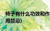 柿子有什么功效和作用(柿子有什么功效和作用禁忌)
