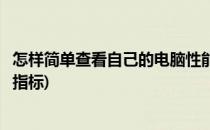 怎样简单查看自己的电脑性能(怎样简单查看自己的电脑性能指标)