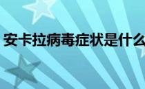 安卡拉病毒症状是什么(什么叫安卡拉病毒病)