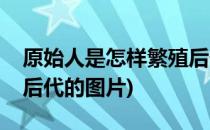 原始人是怎样繁殖后代的(原始人是怎样繁殖后代的图片)