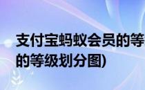 支付宝蚂蚁会员的等级划分(支付宝蚂蚁会员的等级划分图)