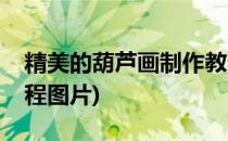 精美的葫芦画制作教程(精美的葫芦画制作教程图片)