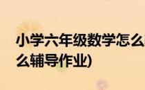 小学六年级数学怎么辅导(小学六年级数学怎么辅导作业)