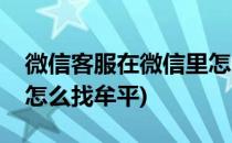 微信客服在微信里怎么找(微信客服在微信里怎么找牟平)