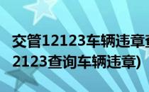 交管12123车辆违章查询的操作(怎么用交管12123查询车辆违章)