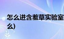 怎么进含羞草实验室(含羞草实验室入口是什么)