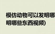 模仿动物可以发明哪些东西(模仿动物可以发明哪些东西视频)