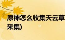原神怎么收集天云草实(原神天云草实在哪里采集)