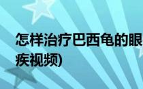 怎样治疗巴西龟的眼疾(怎样治疗巴西龟的眼疾视频)