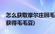 怎么获取摩尔庄园毛毛豆(摩尔庄园哪里可以获得毛毛豆)