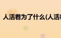 人活着为了什么(人活着为了什么?意义何在)