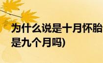 为什么说是十月怀胎(为什么说是十月怀胎不是九个月吗)