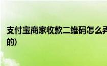 支付宝商家收款二维码怎么弄(支付宝商家收款二维码怎么弄的)