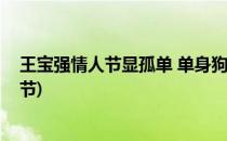 王宝强情人节显孤单 单身狗怎么过情人节(单身狗不过情人节)