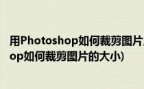用Photoshop如何裁剪图片,ps怎么调整图片大小(photoshop如何裁剪图片的大小)