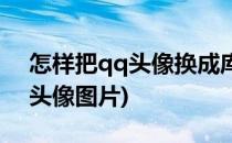 怎样把qq头像换成库里头像(在qq里怎么换头像图片)