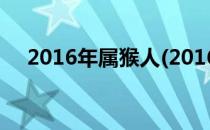 2016年属猴人(2016年属猴人是什么命)