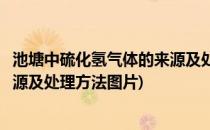 池塘中硫化氢气体的来源及处理方法(池塘中硫化氢气体的来源及处理方法图片)