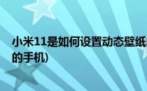 小米11是如何设置动态壁纸的(小米11是如何设置动态壁纸的手机)