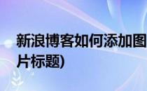 新浪博客如何添加图片(新浪博客如何添加图片标题)